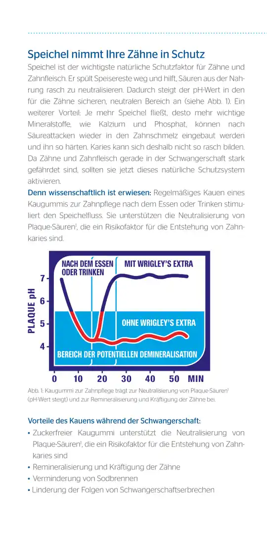 Seite 6 - Fit und gesund durch die Schwangerschaft