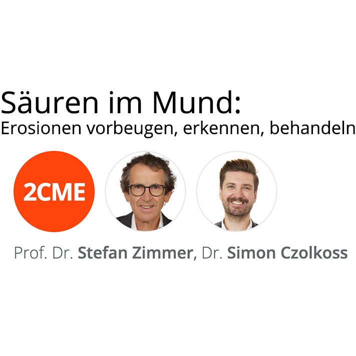 Erosions-Online-Seminar von Prof. Dr. Stefan Zimmer