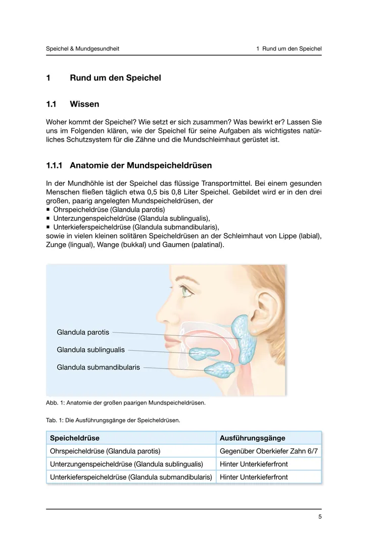 Seite 5 - SalivaDent - Lehr- und Lernprogramm zum Thema Speichel und Mundgesundheit - Skript