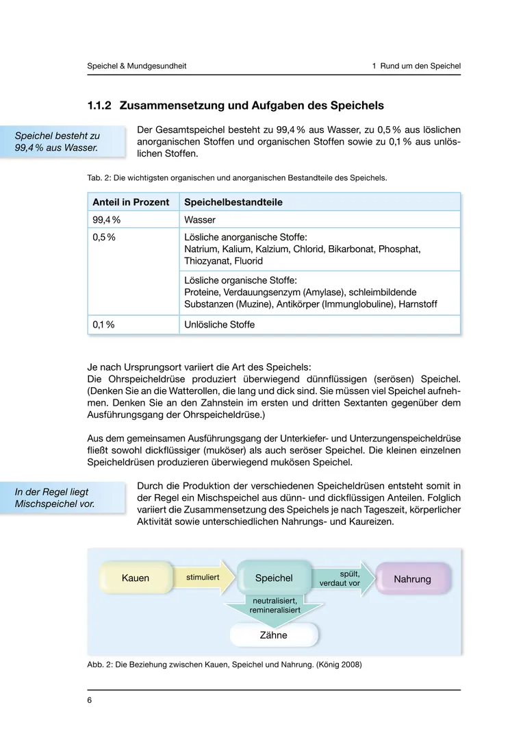 Seite 6 - SalivaDent - Lehr- und Lernprogramm zum Thema Speichel und Mundgesundheit - Skript