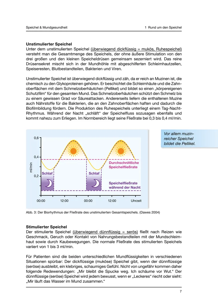Seite 7 - SalivaDent - Lehr- und Lernprogramm zum Thema Speichel und Mundgesundheit - Skript