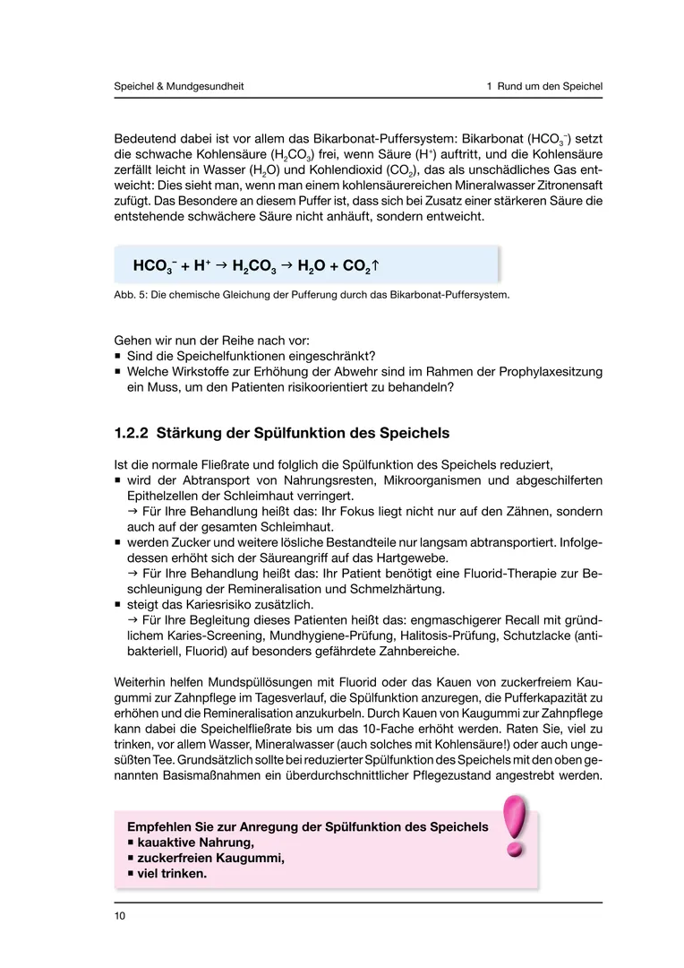 Seite 10 - SalivaDent - Lehr- und Lernprogramm zum Thema Speichel und Mundgesundheit - Skript