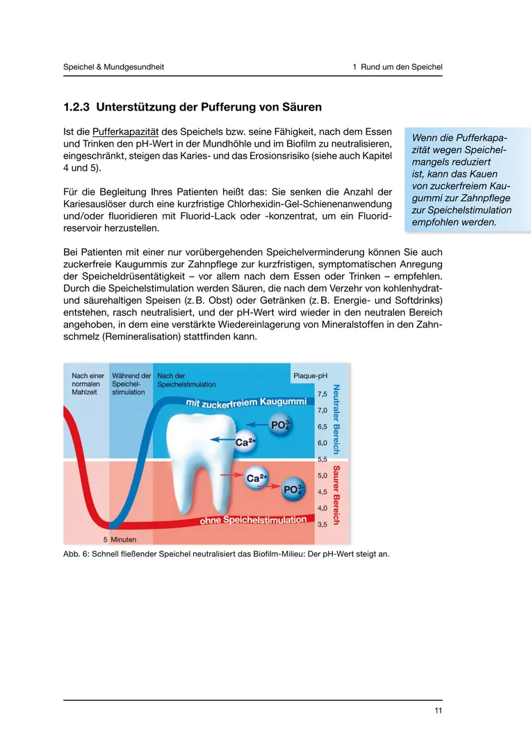 Seite 11 - SalivaDent - Lehr- und Lernprogramm zum Thema Speichel und Mundgesundheit - Skript