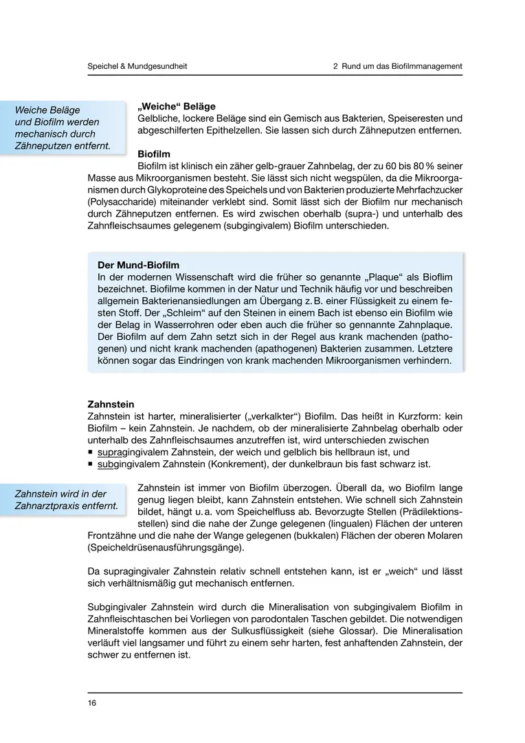 Seite 16 - SalivaDent - Lehr- und Lernprogramm zum Thema Speichel und Mundgesundheit - Skript