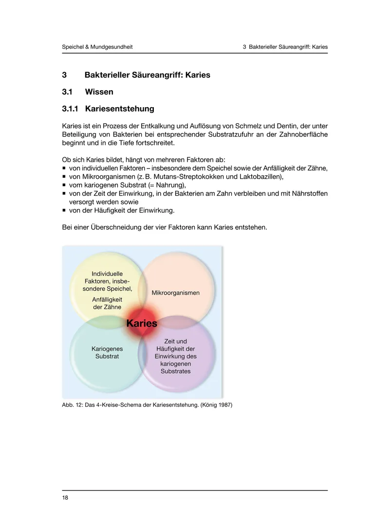 Seite 18 - SalivaDent - Lehr- und Lernprogramm zum Thema Speichel und Mundgesundheit - Skript