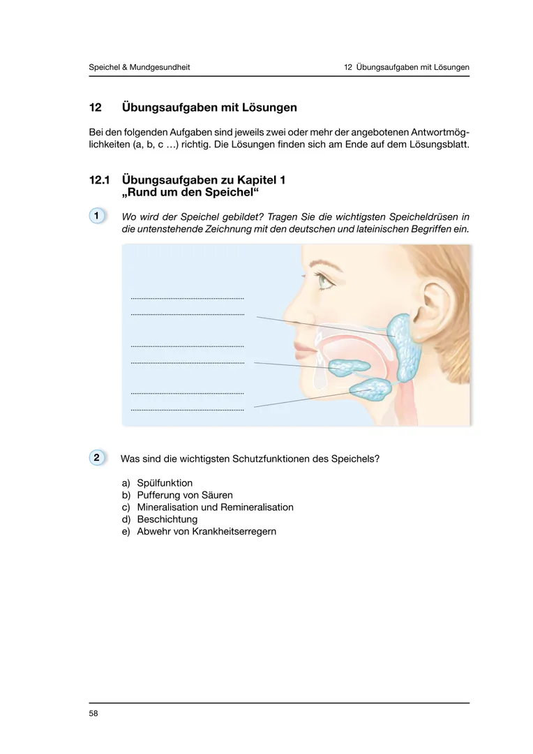 Seite 58 - SalivaDent - Lehr- und Lernprogramm zum Thema Speichel und Mundgesundheit - Skript