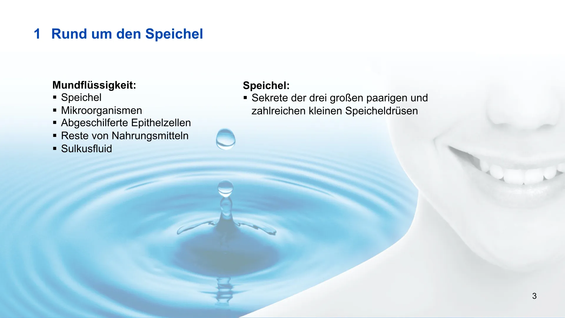 Seite 3 - SalivaDent - Lehr- und Lernprogramm zum Thema Speichel und Mundgesundheit - PowerPoint