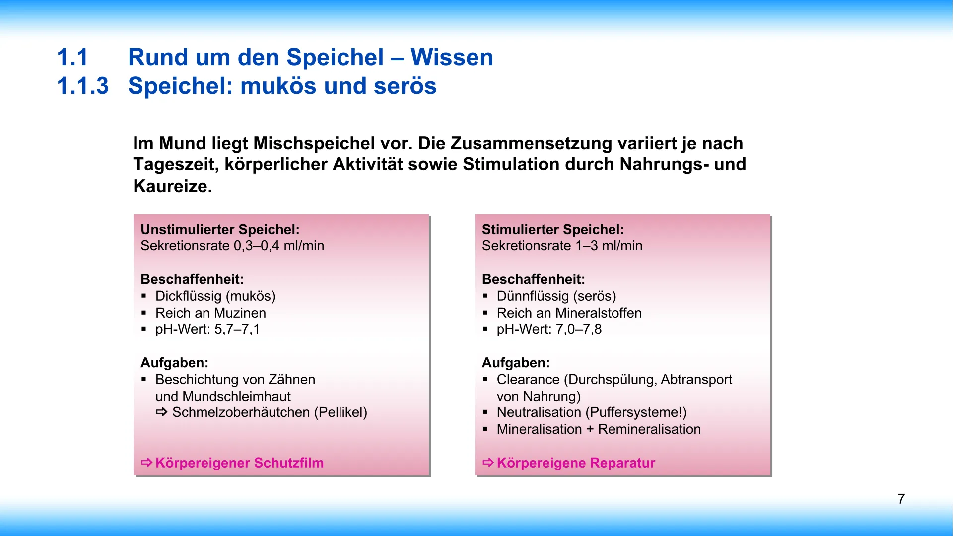 Seite 7 - SalivaDent - Lehr- und Lernprogramm zum Thema Speichel und Mundgesundheit - PowerPoint