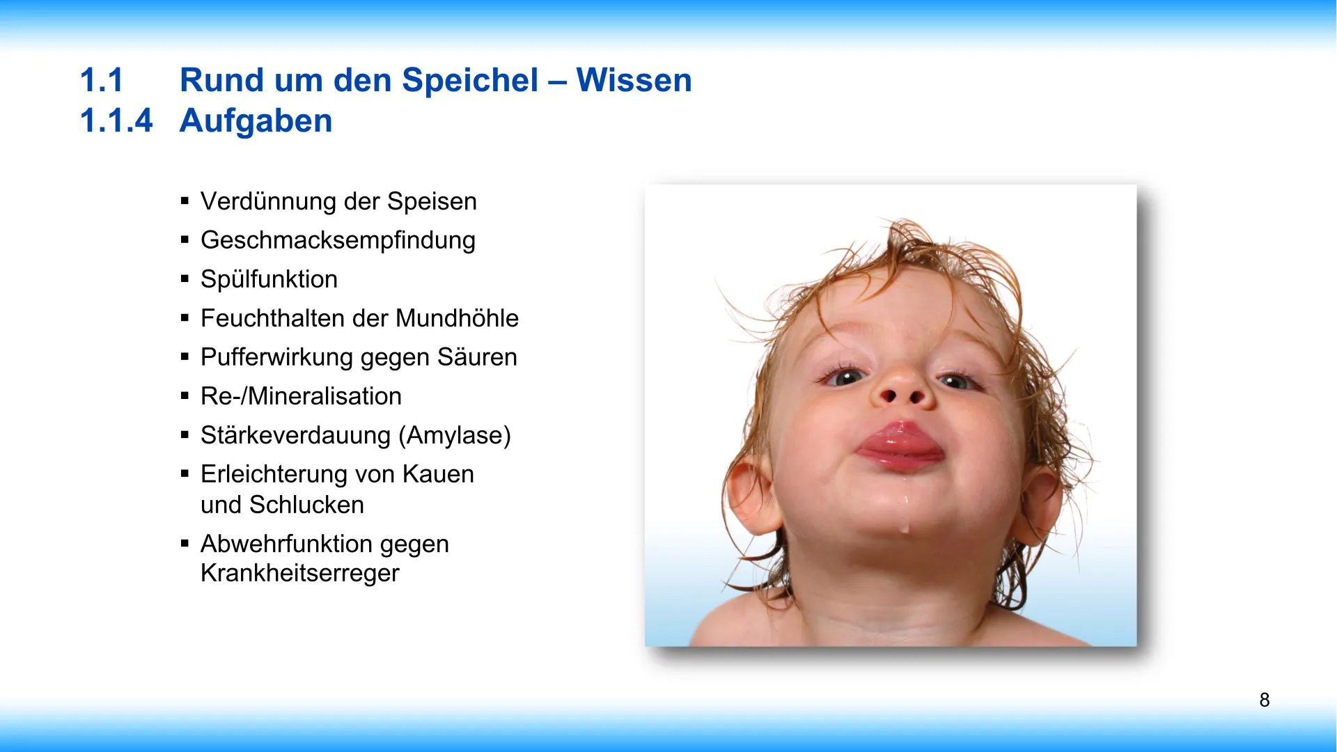 Seite 8 - SalivaDent - Lehr- und Lernprogramm zum Thema Speichel und Mundgesundheit - PowerPoint