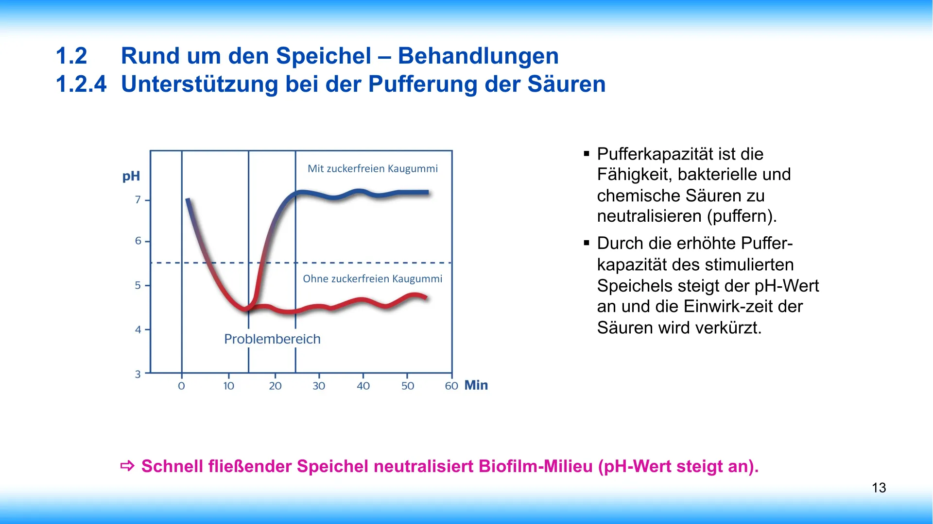 Seite 13 - SalivaDent - Lehr- und Lernprogramm zum Thema Speichel und Mundgesundheit - PowerPoint