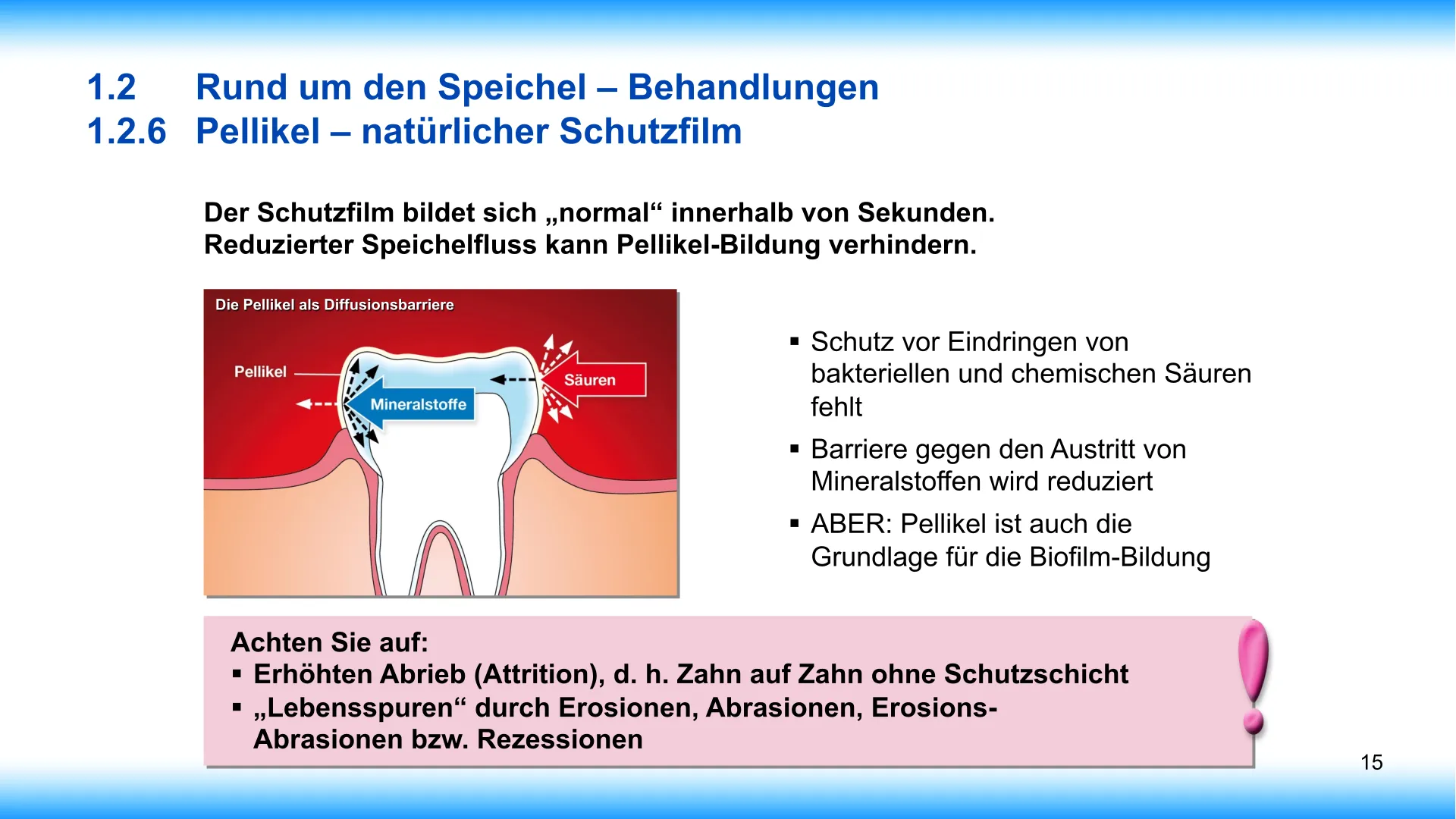 Seite 15 - SalivaDent - Lehr- und Lernprogramm zum Thema Speichel und Mundgesundheit - PowerPoint