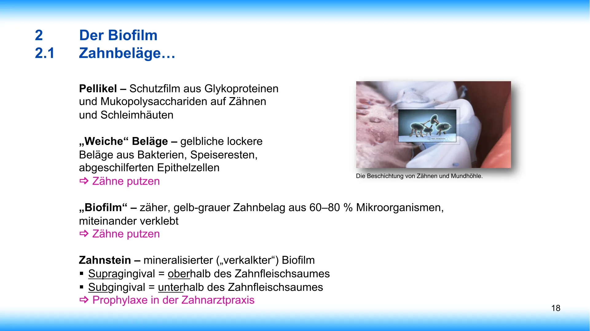 Seite 18 - SalivaDent - Lehr- und Lernprogramm zum Thema Speichel und Mundgesundheit - PowerPoint