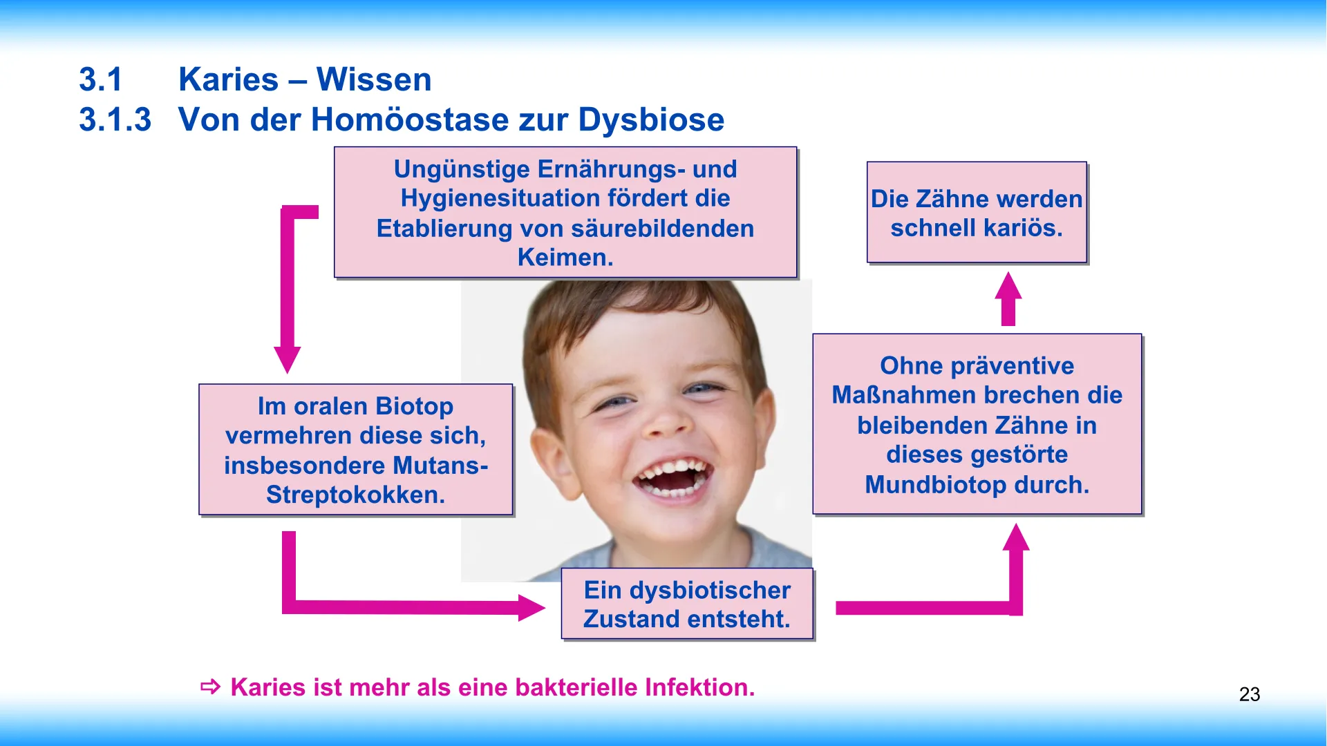 Seite 23 - SalivaDent - Lehr- und Lernprogramm zum Thema Speichel und Mundgesundheit - PowerPoint