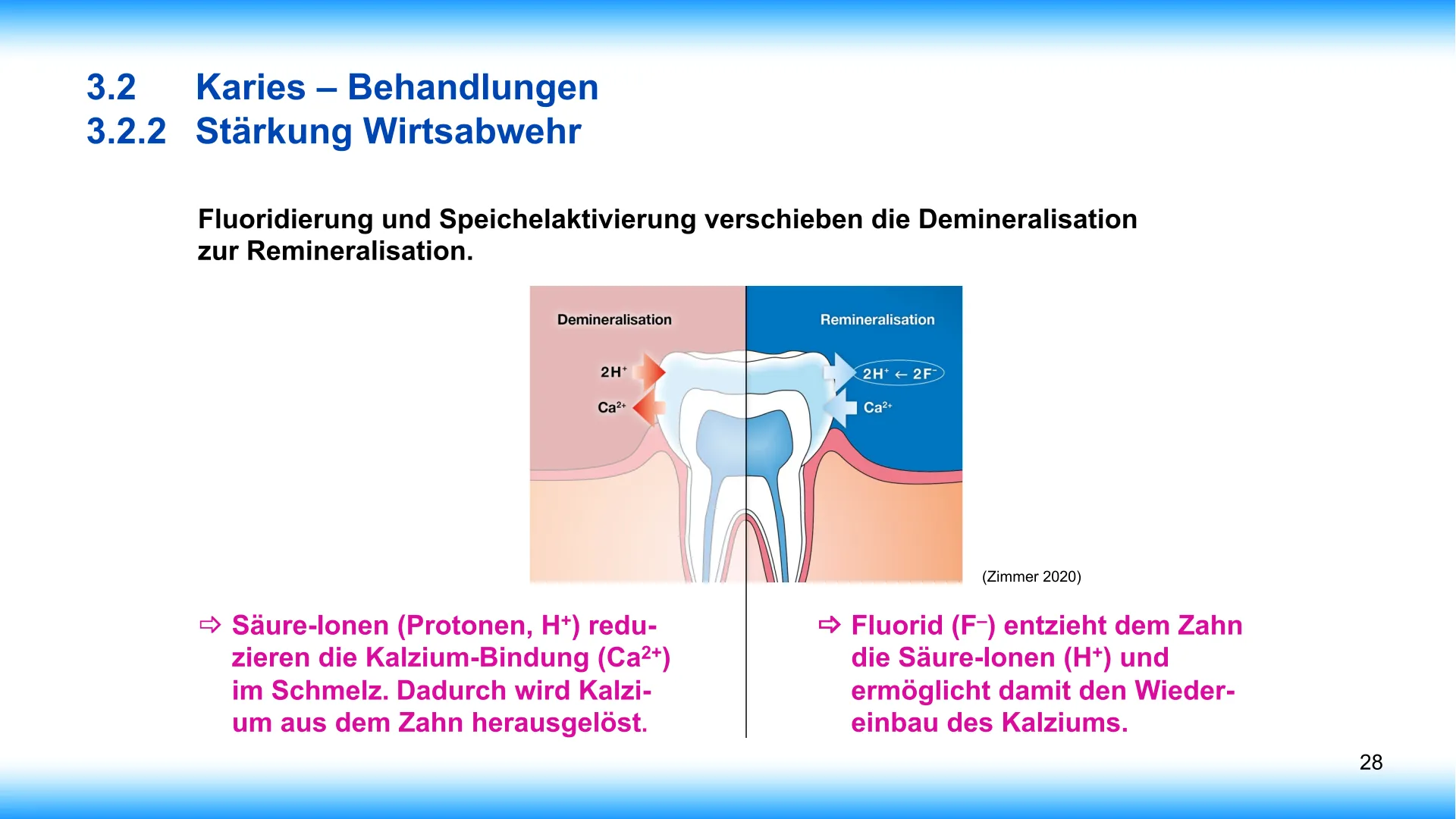 Seite 28 - SalivaDent - Lehr- und Lernprogramm zum Thema Speichel und Mundgesundheit - PowerPoint