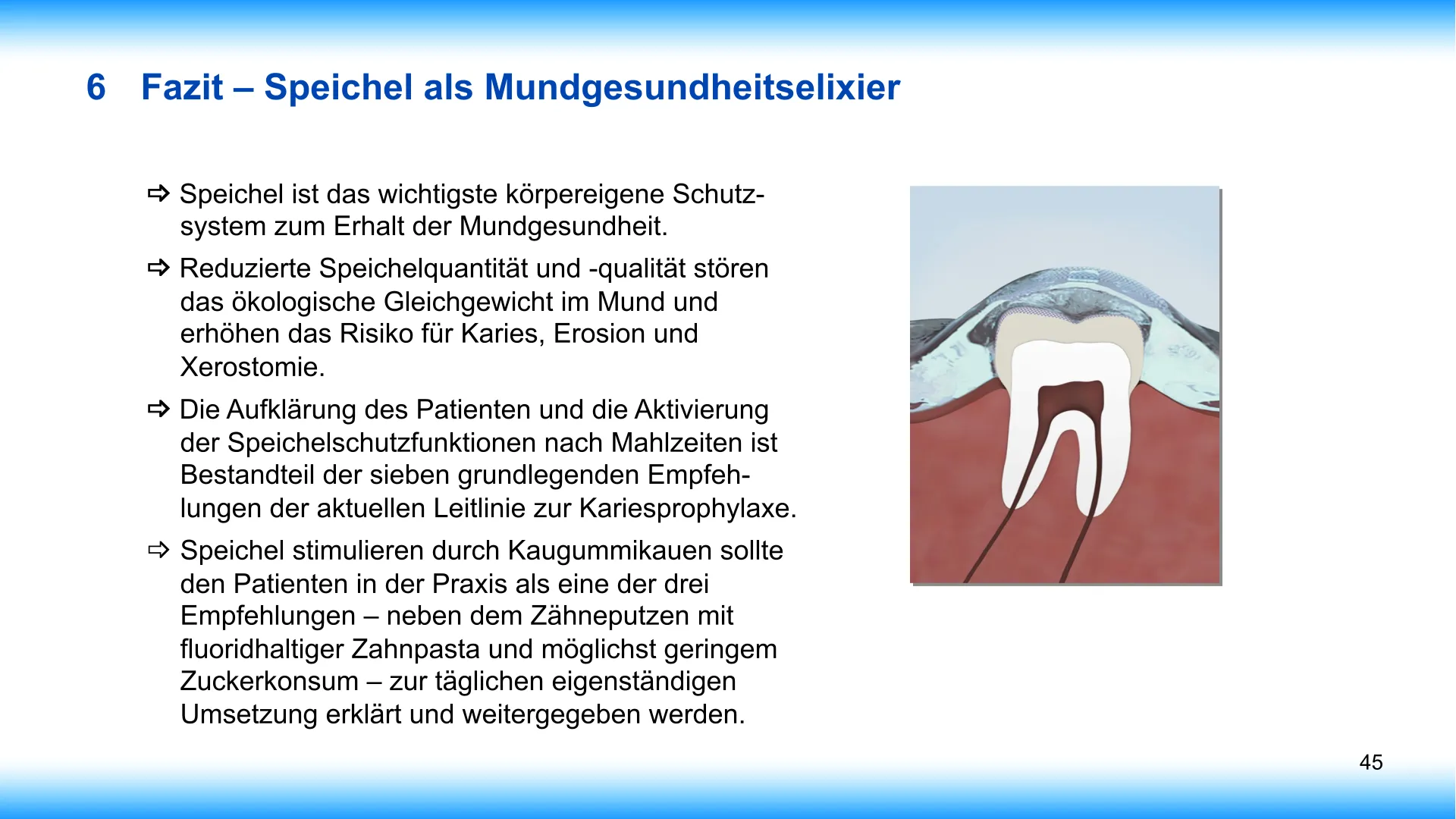 Seite 45 - SalivaDent - Lehr- und Lernprogramm zum Thema Speichel und Mundgesundheit - PowerPoint