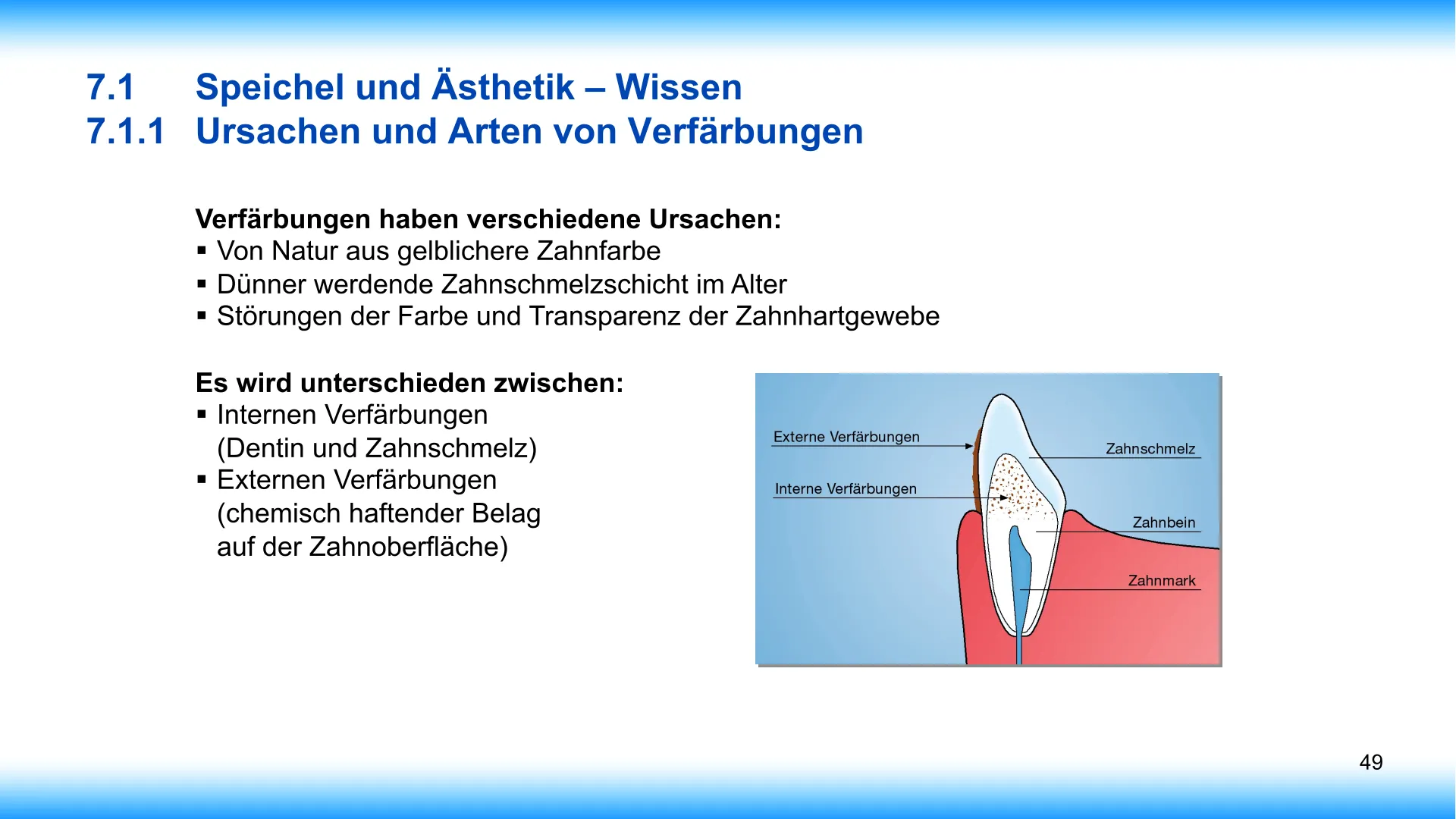 Seite 49 - SalivaDent - Lehr- und Lernprogramm zum Thema Speichel und Mundgesundheit - PowerPoint