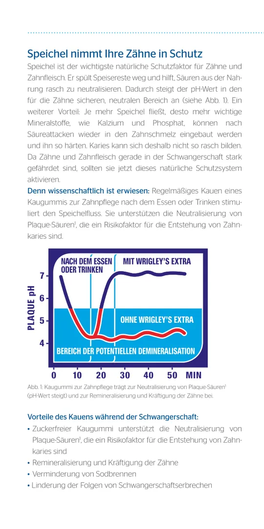 Seite 6 - Fit und gesund durch die Schwangerschaft