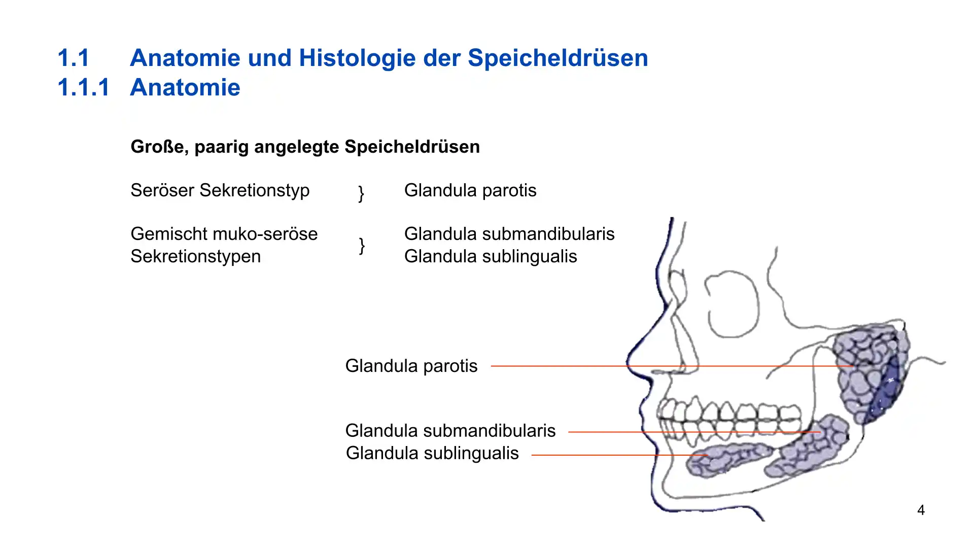 Seite 4 - PowerPoint-Vorlesung für Dozent*innen