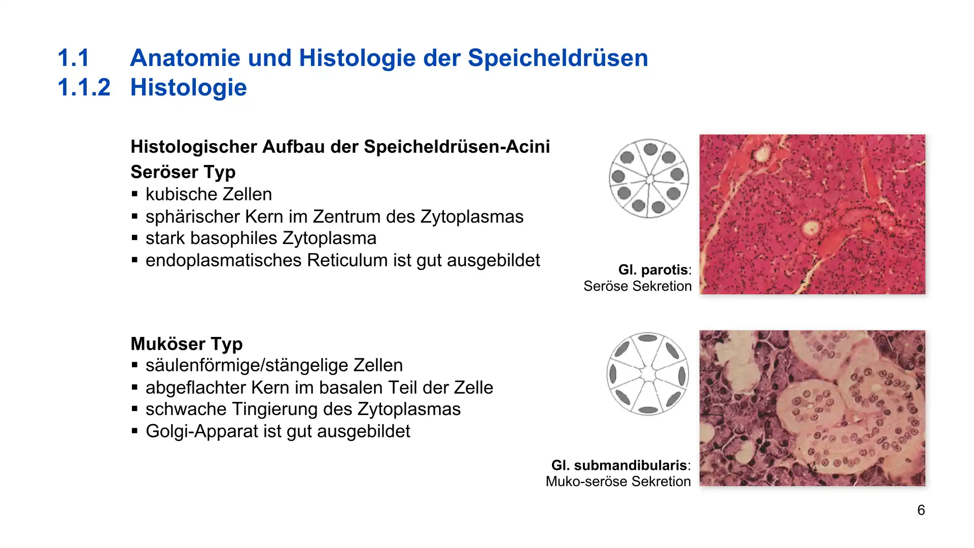 Seite 6 - PowerPoint-Vorlesung für Dozent*innen