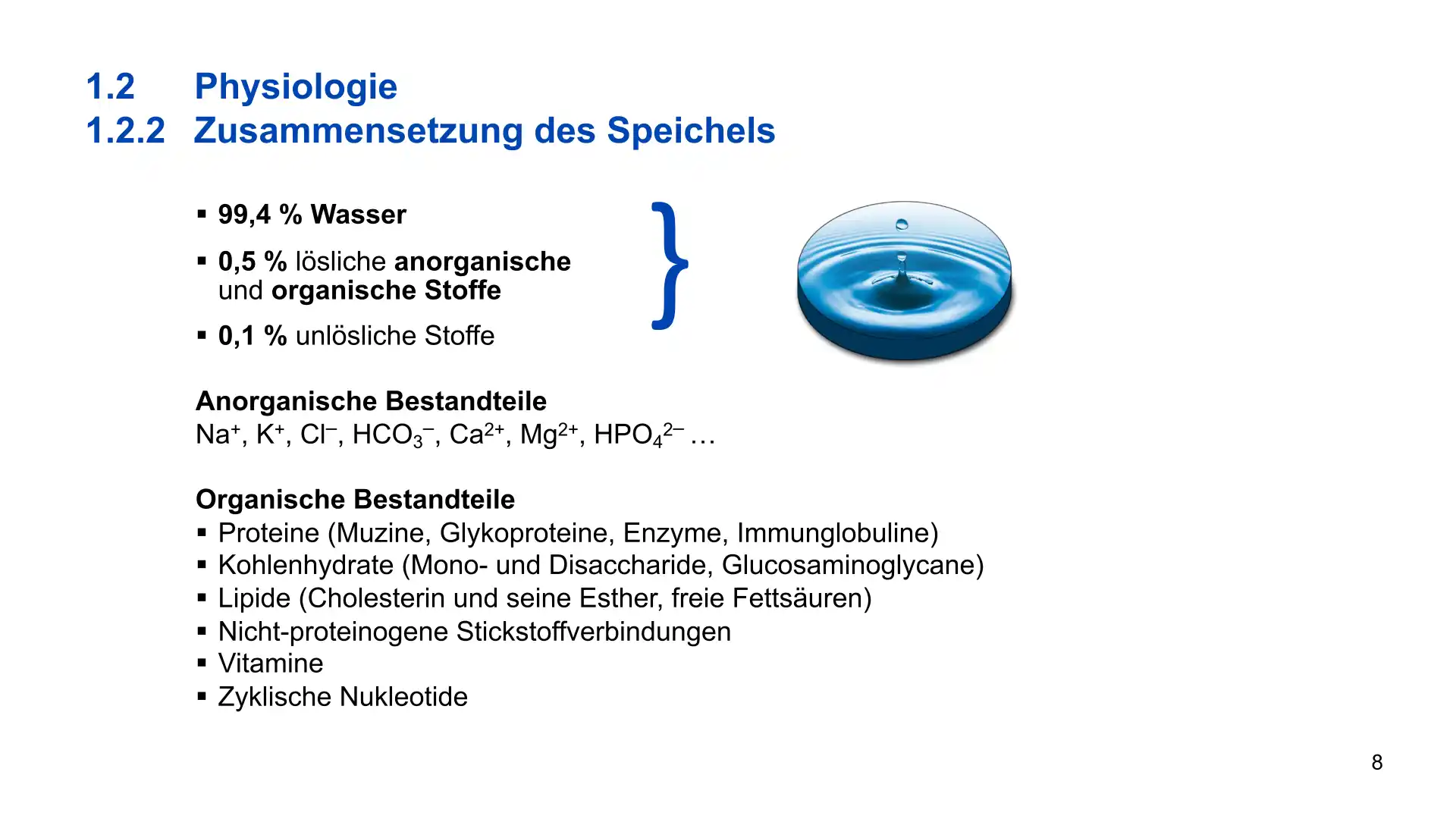 Seite 8 - PowerPoint-Vorlesung für Dozent*innen