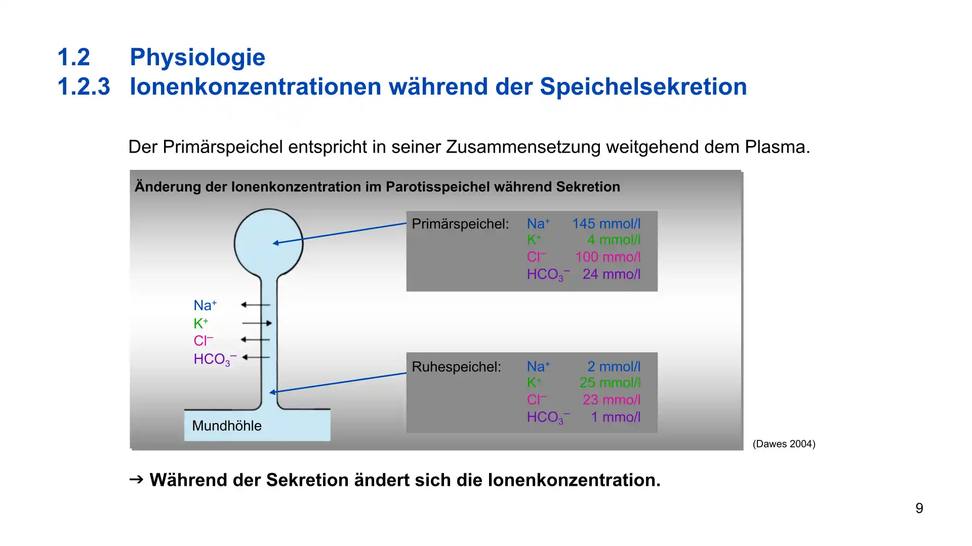 Seite 9 - PowerPoint-Vorlesung für Dozent*innen