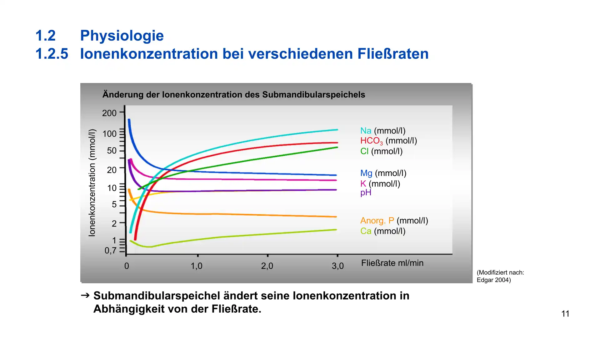 Seite 11 - PowerPoint-Vorlesung für Dozent*innen