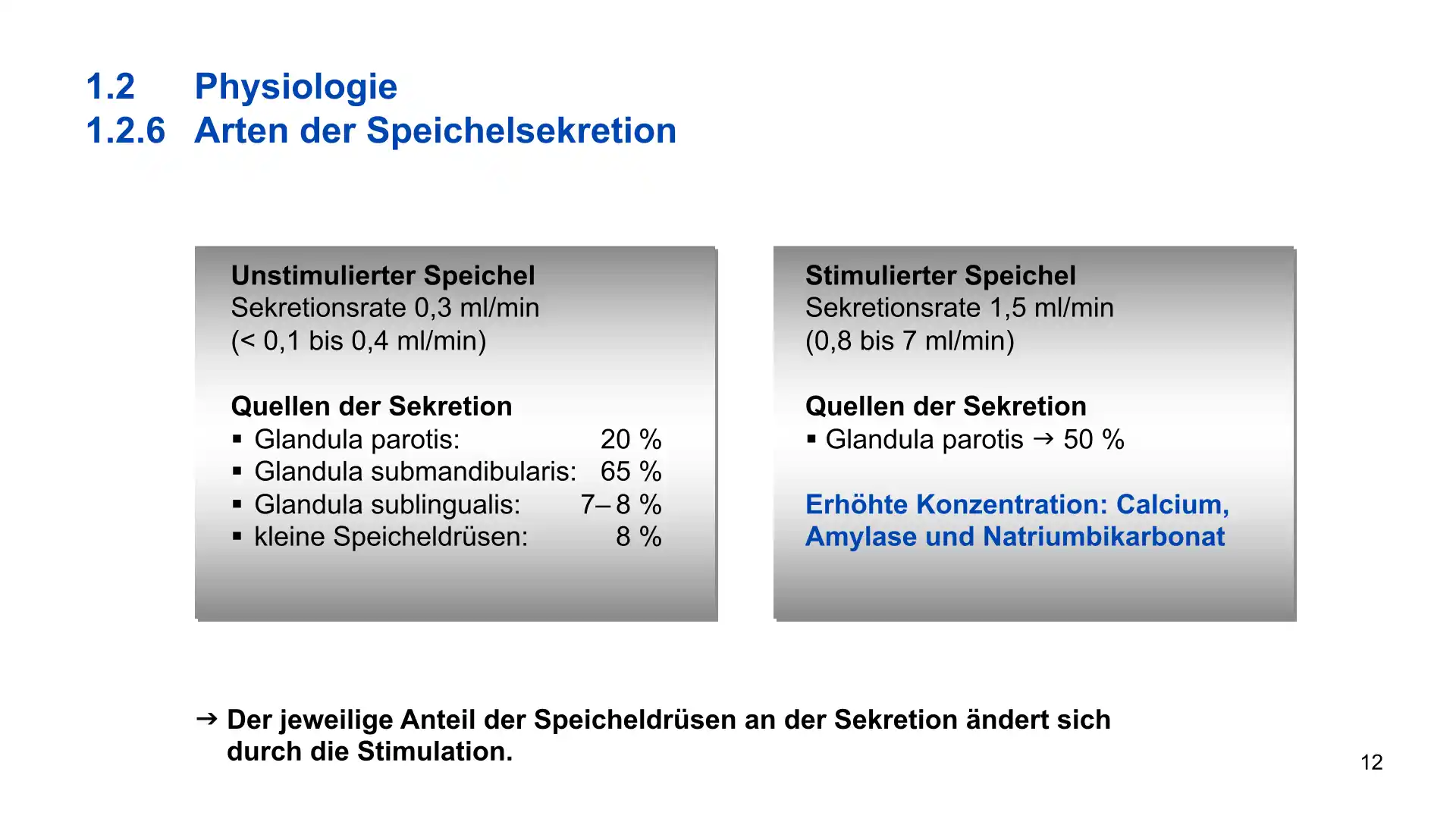 Seite 12 - PowerPoint-Vorlesung für Dozent*innen