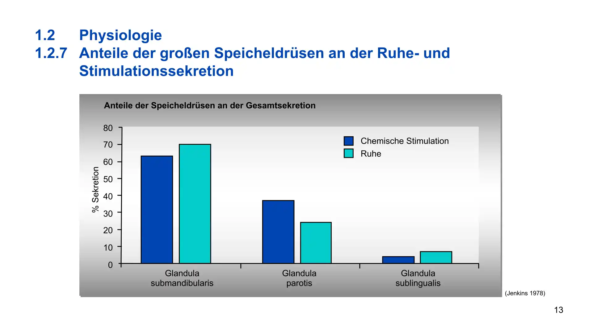 Seite 13 - PowerPoint-Vorlesung für Dozent*innen