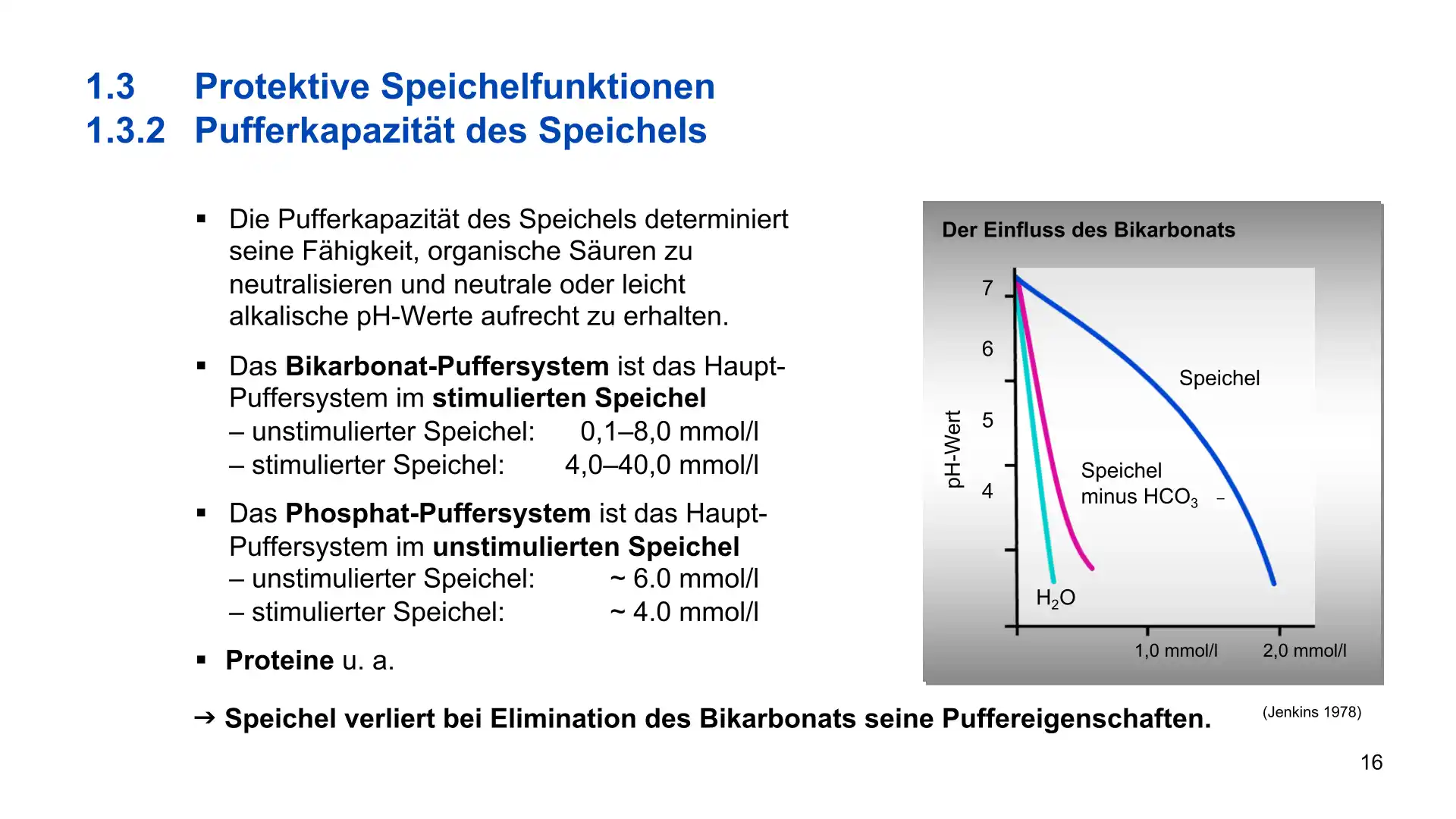 Seite 16 - PowerPoint-Vorlesung für Dozent*innen