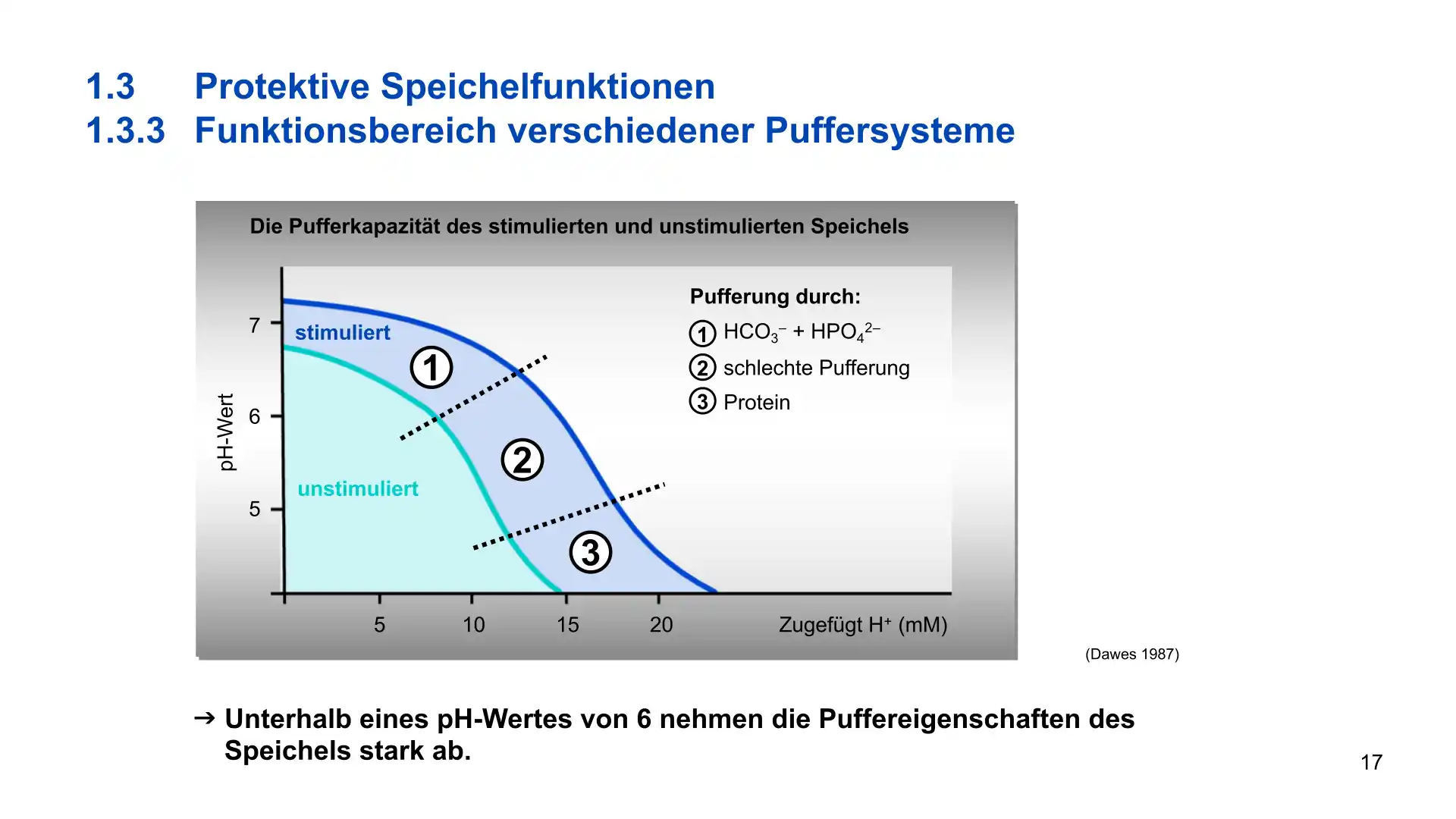 Seite 17 - PowerPoint-Vorlesung für Dozent*innen