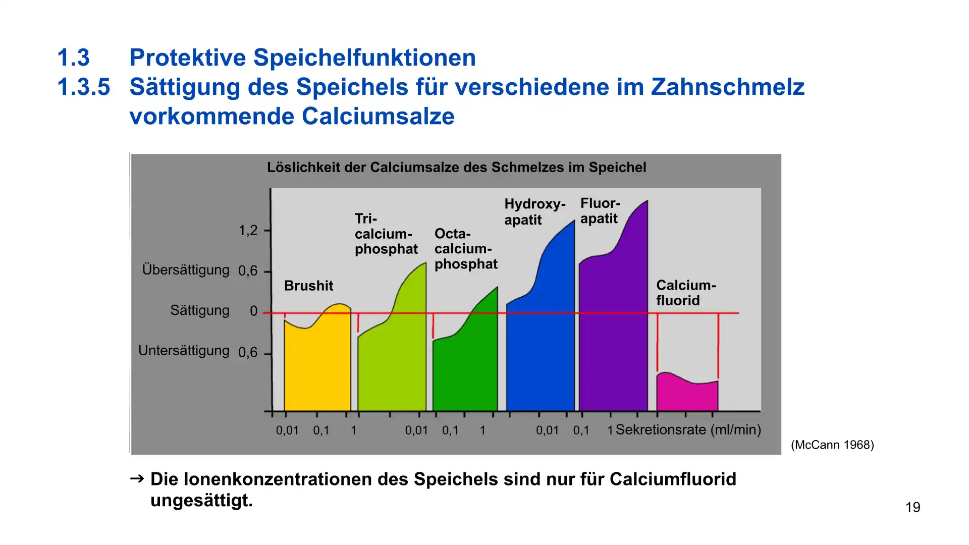 Seite 19 - PowerPoint-Vorlesung für Dozent*innen