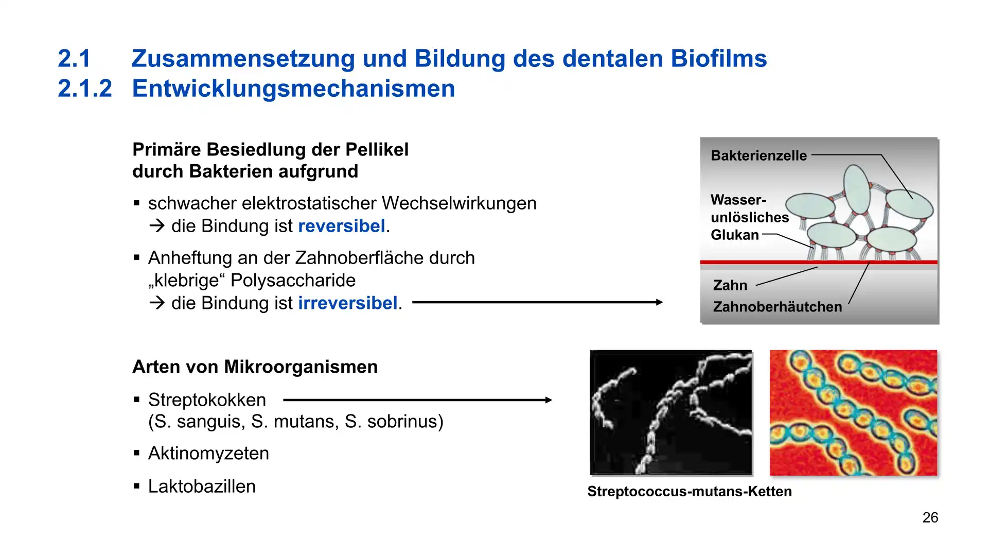 Seite 26 - PowerPoint-Vorlesung für Dozent*innen