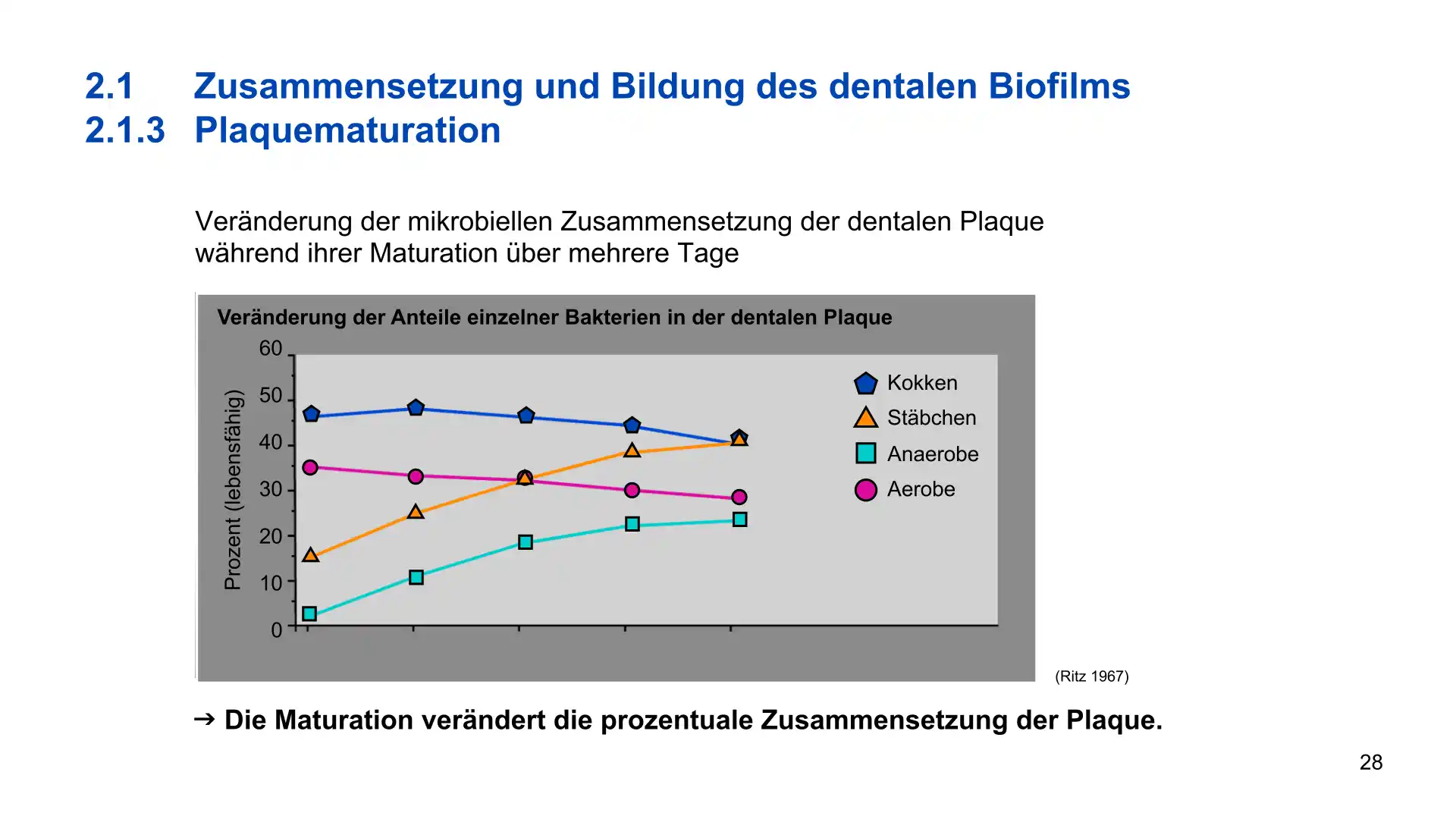 Seite 28 - PowerPoint-Vorlesung für Dozent*innen