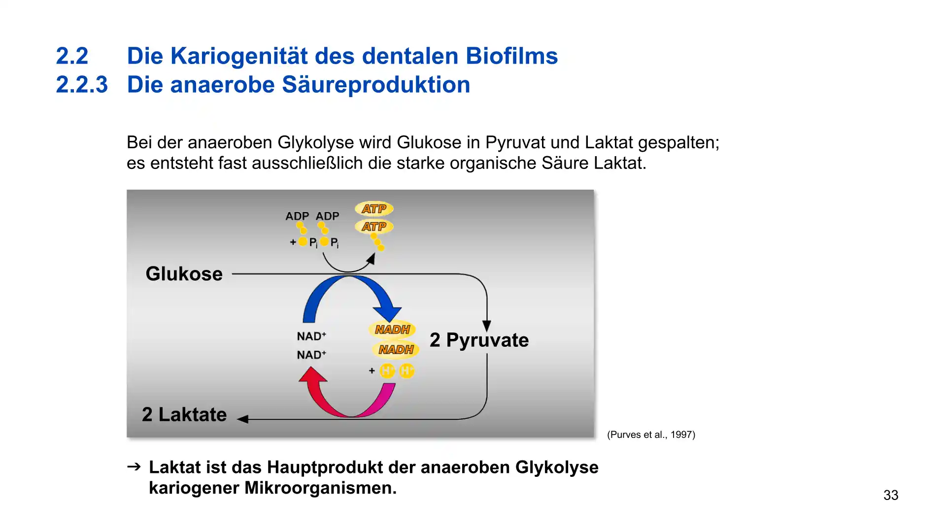 Seite 33 - PowerPoint-Vorlesung für Dozent*innen