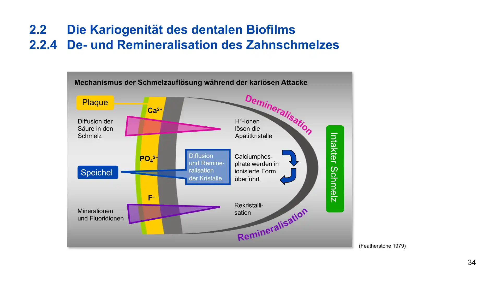 Seite 34 - PowerPoint-Vorlesung für Dozent*innen