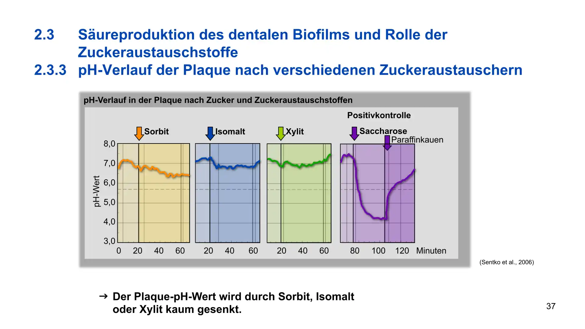 Seite 37 - PowerPoint-Vorlesung für Dozent*innen