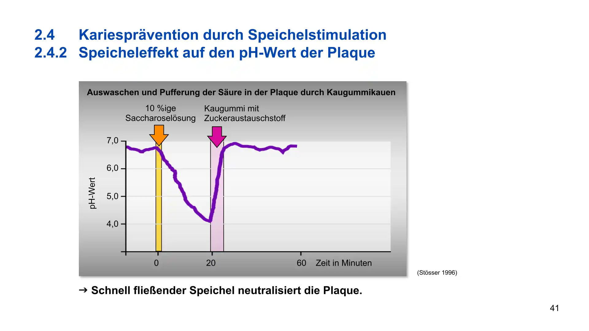 Seite 41 - PowerPoint-Vorlesung für Dozent*innen