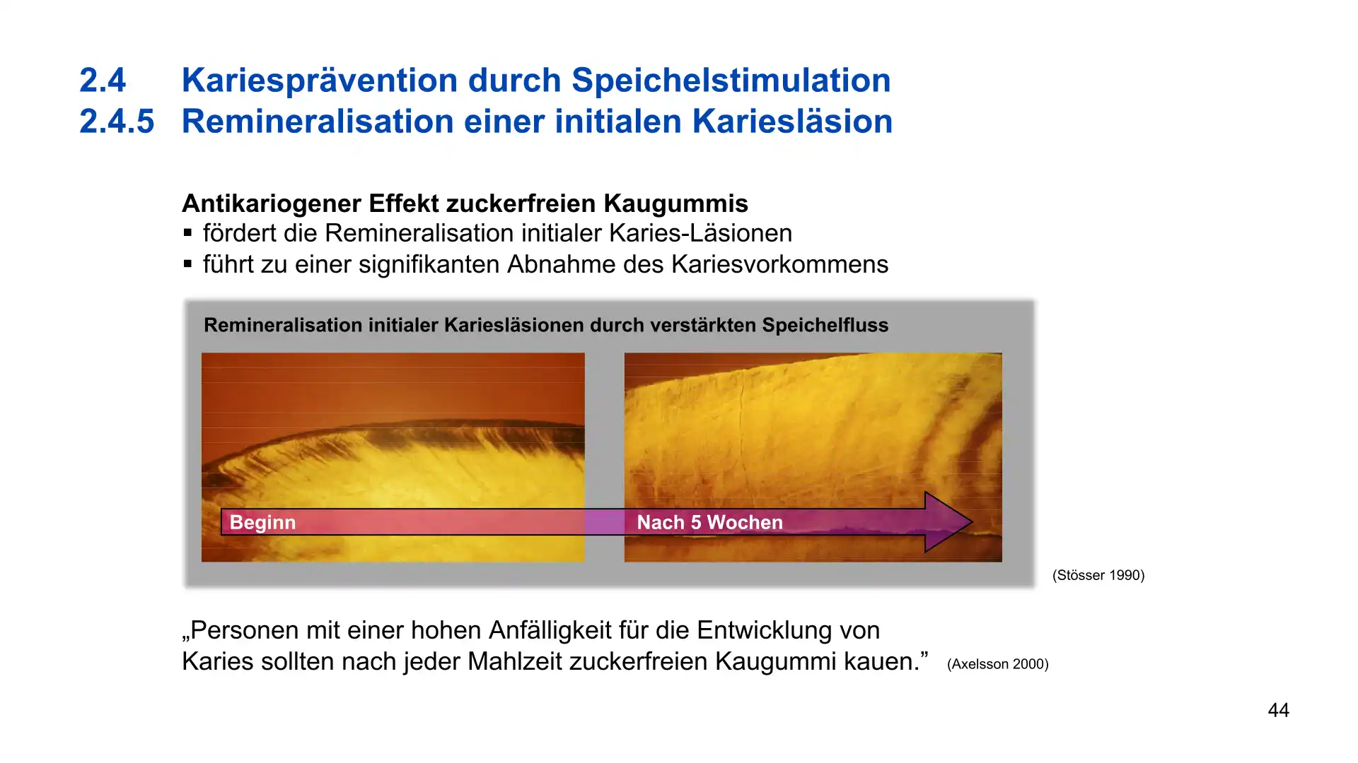 Seite 44 - PowerPoint-Vorlesung für Dozent*innen