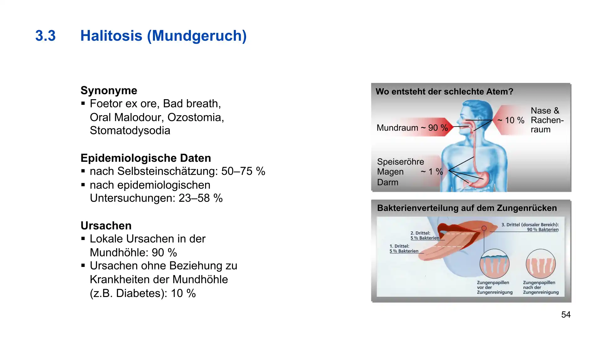 Seite 54 - PowerPoint-Vorlesung für Dozent*innen