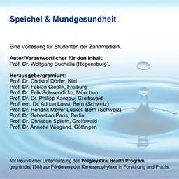 PowerPoint-Vorlesung für Dozent*innen