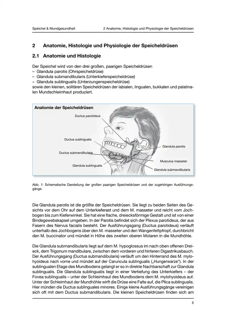 Seite 5 - Skript für StuDent*innen zur Examensvorbereitung